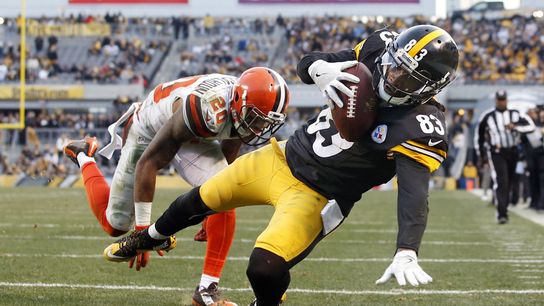Anatomy of a WR - Cobi Hamilton (Steeler Blog Posts)
