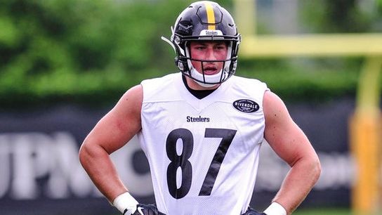 Steelers tight end