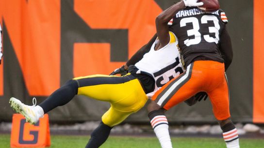 Keep an Eye on Free Agent Safety Ronnie Harrison (Free Agency News)