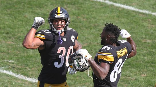Actively Predicting the Inactive List: Week 17 (Steelers Inactives)