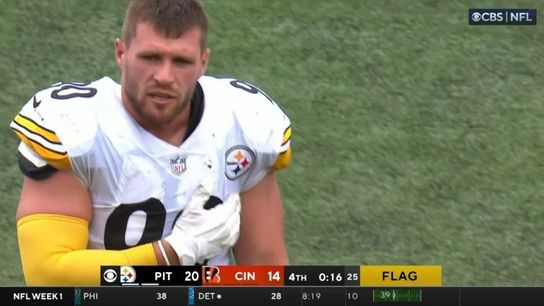 Steelers Watt