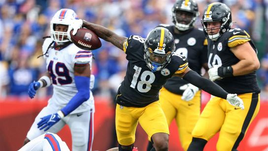 Pittsburgh Steelers Diontae Johnson Pittsburgh Steelers Diontae Johnson