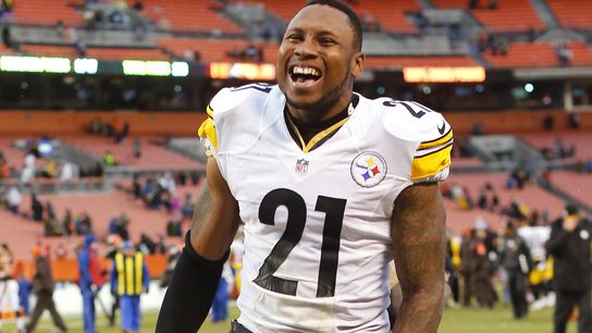 Pittsburgh Steelers Robert Golden Pittsburgh Steelers Robert Golden