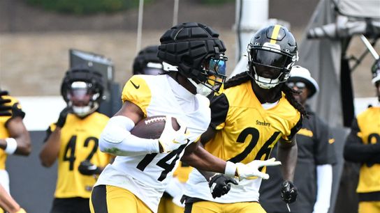 Pittsburgh Steelers Donte Jackson