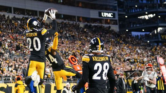 Pittsburgh Steelers Patrick Peterson Pittsburgh Steelers Patrick Peterson