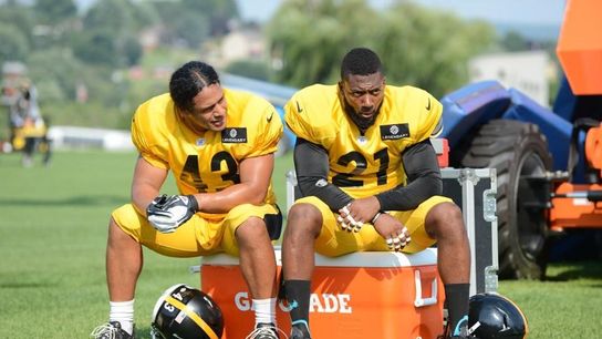 Pittsburgh Steelers Troy Polamalu Ryan Clark Pittsburgh Steelers Troy Polamalu Ryan Clark