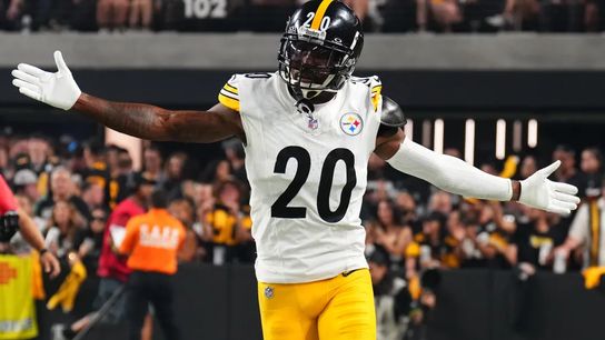 Pittsburgh Steelers Patrick Peterson Pittsburgh Steelers Patrick Peterson