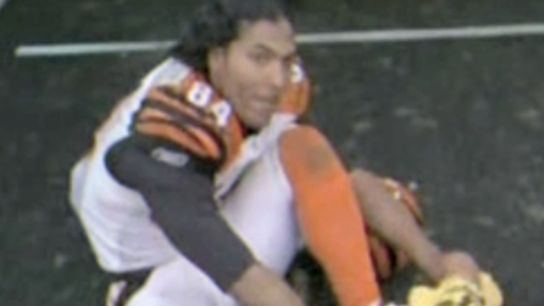 Pittsburgh Steelers T.J. Houshmandzadeh Pittsburgh Steelers T.J. Houshmandzadeh