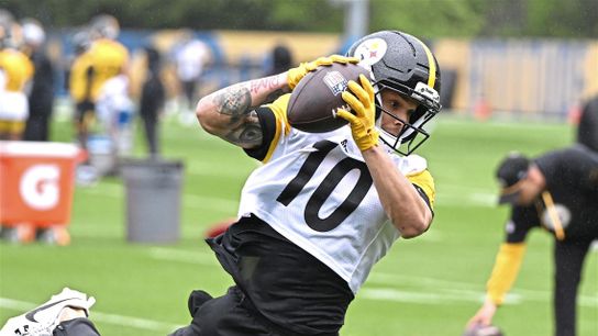 Steelers Roman Wilson