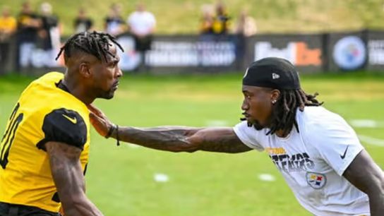 Steelers Patrick Peterson Joey Porter Jr Steelers Patrick Peterson Joey Porter Jr