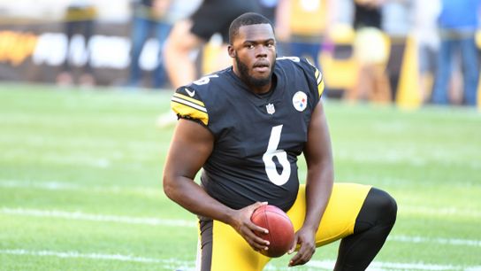 Pittsburgh Steelers Pressley Harvin III Pittsburgh Steelers Pressley Harvin III