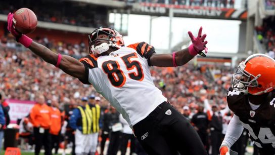 Former Cincinnati Bengals receiver Chad Johnson Steelers Bengals Chad Johnson