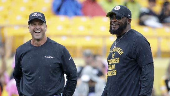 Steelers Mike Tomlin Ravens John Harbaugh Steelers Mike Tomlin Ravens John Harbaugh