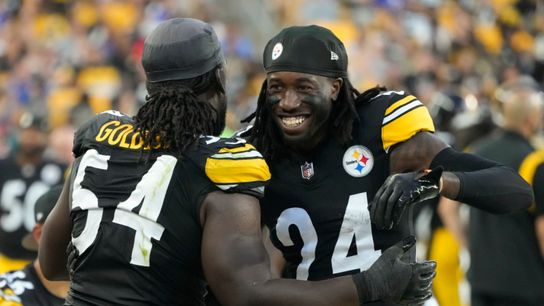Steelers Joey Porter Jr Markus Golden Steelers Joey Porter Jr Markus Golden