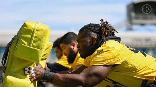 Steelers Larry Ogunjobi Steelers Larry Ogunjobi