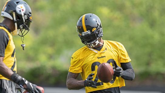 Steelers Patrick Peterson Steelers Patrick Peterson
