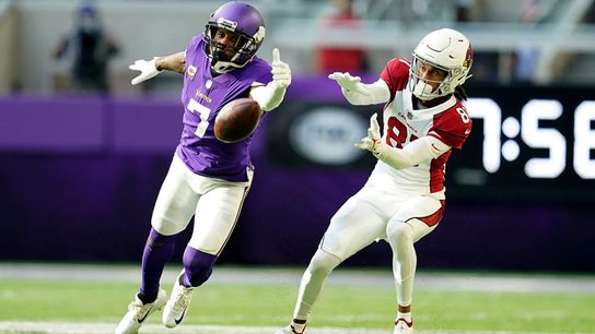 Pittsburgh Steelers Patrick Peterson Pittsburgh Steelers Patrick Peterson