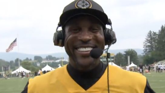 Steelers Patrick Peterson Steelers Patrick Peterson