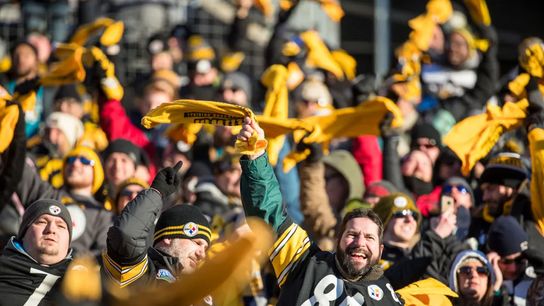 Pittsburgh Steelers Terrible Towel Pittsburgh Steelers Terrible Towel