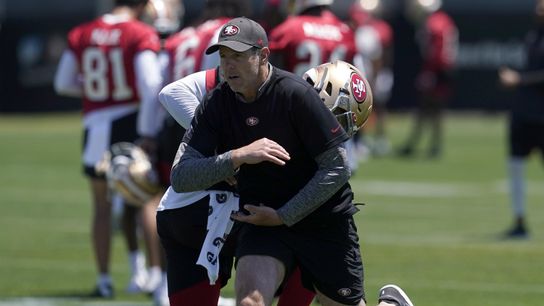 Steelers 49ers Brian Griese Steelers 49ers Brian Griese