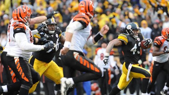 Steelers Troy Polamalu Steelers Troy Polamalu