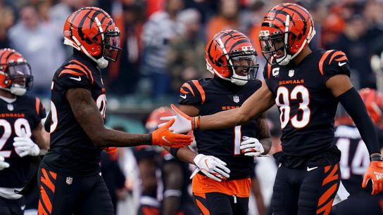 Steelers rivals Cincinnati Bengals players Steelers rivals Cincinnati Bengals players