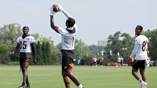 Steelers Bengals Tyler Boyd, Ja'Marr Chase, And Tee Higgins