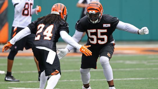 Pittsburgh Steelers Cincinnati Bengals Vontaze Burfict Pittsburgh Steelers Cincinnati Bengals Vontaze Burfict
