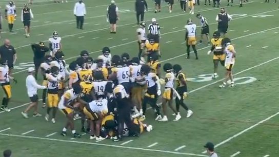 Steelers training camp fight 2024 Steelers training camp fight 2024
