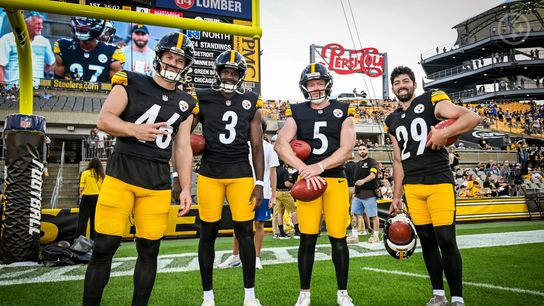 Steelers Add Pro Bowler After Disappointing Injury News (Steelers News)