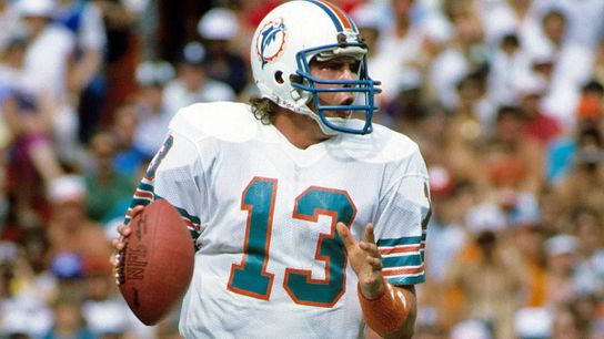 Steelers Dan Marino Steelers Dan Marino