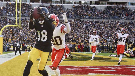 Steelers Dionate Johnson finds the endzone in the 2023 season finale against the Cleveland Browns. Steelers Dionate Johnson finds the endzone in the 2023 season finale against the Cleveland Browns.
