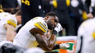 Steelers' DK Metcalf Facing Severe Guilt Over Possibly Costing Pittsburgh The AFC North Title (Steelers News). Photo by Rey Del Rio / AP Photo