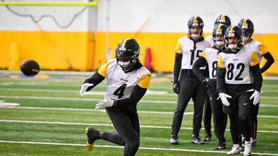 Steelers Fans Get Extremely Reassuring Message Following Troubling DK Metcalf Situation (Steelers News)