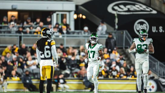 All-Pro Receiver Makes A Strong Plea For Steelers To Pursue Davante Adams (Steelers News)