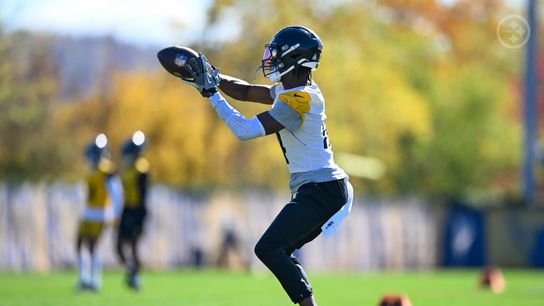 Steelers' George Pickens Steelers' George Pickens