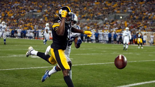 Steelers Sammie Coates