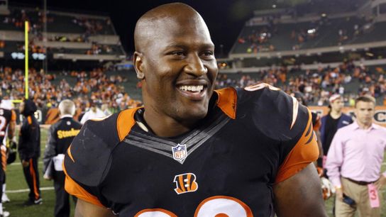 Steelers' James Harrison Steelers' James Harrison