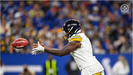 Steelers Pressley Harvin III Steelers Pressley Harvin III
