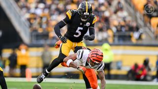 Bengals' Royalty Slams Ja'Marr Chase For Shameful Act Committed Against Steelers (Steelers News). Photo by Karl Roser / Pittsburgh Steelers