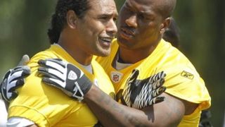 Troy Polamalu's Former Steelers Teammate Reveals Hidden Side Fans Never Saw (Steelers News). Photo by Jason L Nelson / AdMedia