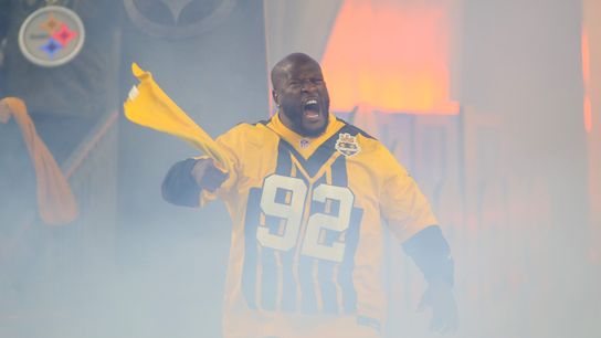 Steelers' Super Bowl Hero James Harrison Gets Completely Trashed By Former Pittsburgh Teammate  (Steelers News)