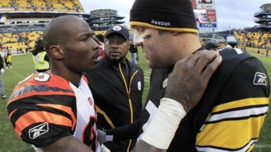 Steelers' Chad Johnson Steelers' Chad Johnson