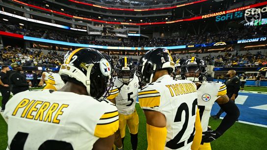 Steelers Make Surprising Move Releasing A Veteran Defender (Steelers News)