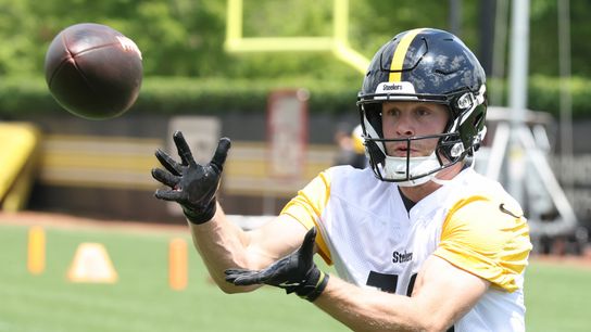 Steelers' Kaden Wetjen Steelers' Kaden Wetjen