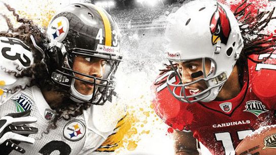 Steelers Troy Polamalu Larry Fitzgerald Steelers Troy Polamalu Larry Fitzgerald
