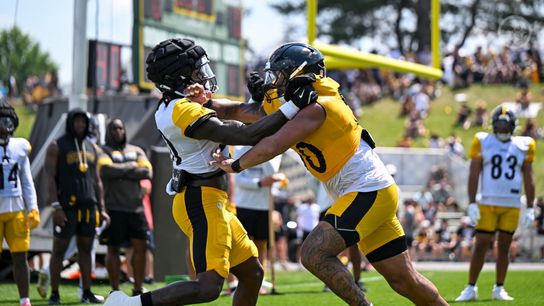 Steelers' Free Agent Addition Shaping Up To Be A Disappointment After Several Weeks Of Training Camp (Steelers News)