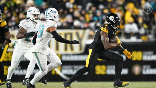 Dez Bryant Seriously Believes Steelers Can Win Super Bowl With The Way DK Metcalf Played Against Miami (Steelers News)