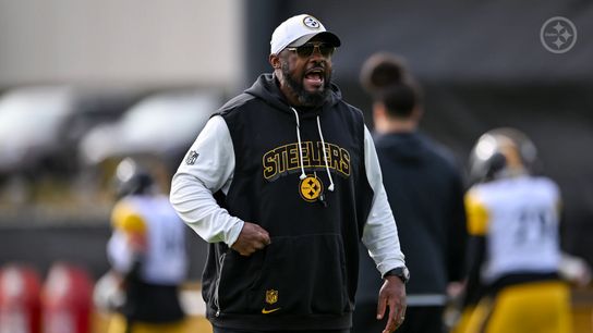 Steelers' Teryl Austin Makes Revealing Comment About Mike Tomlin's Involvement On Defense (Steelers News)