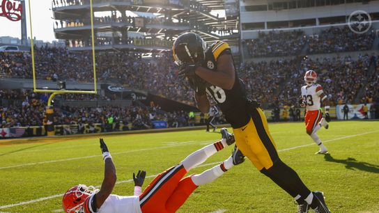 Steelers' Mike Williams Steelers' Mike Williams